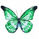 Set de tres mariposas decorativas en tonos verdes