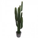Cactus artificial Cereus